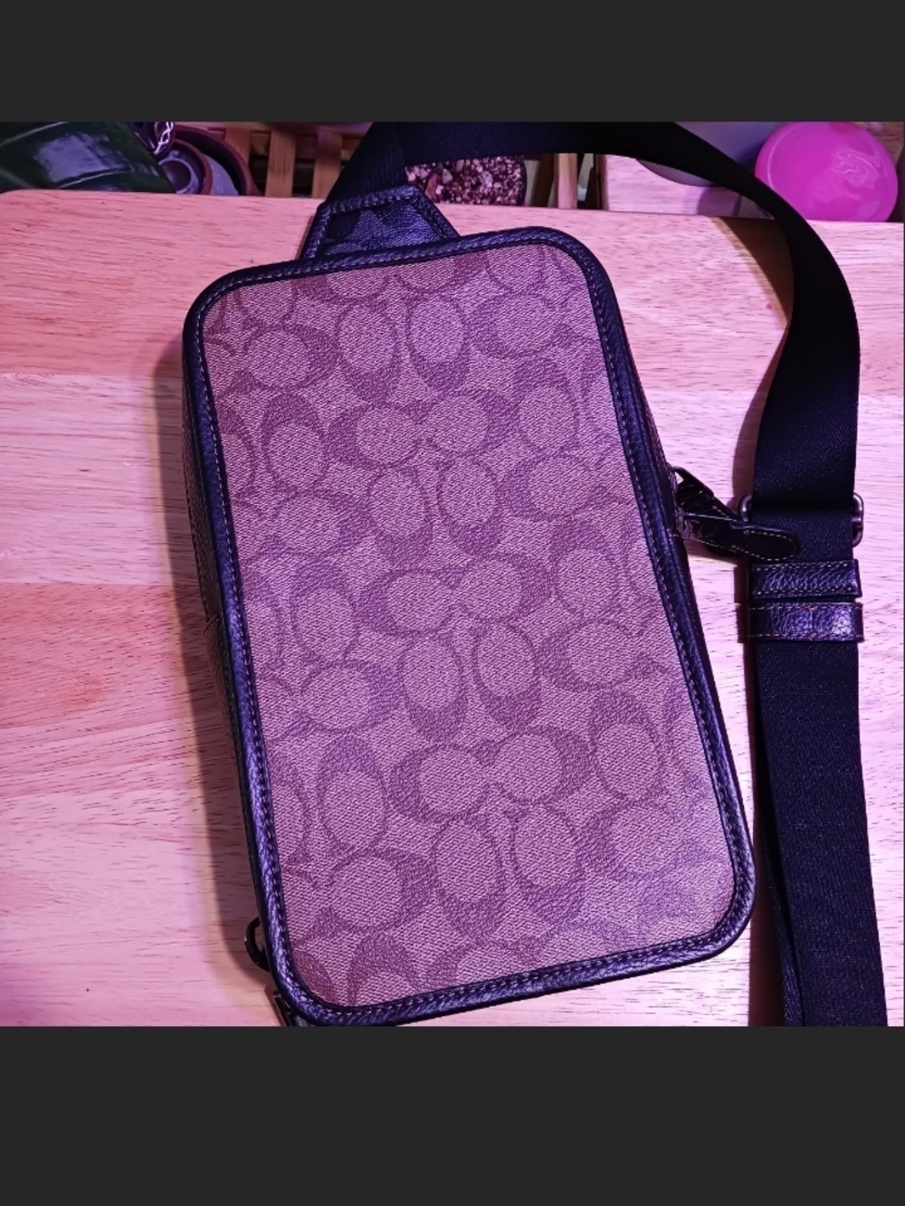 Coach Sullivan Pack in Blocked Signature Canvas